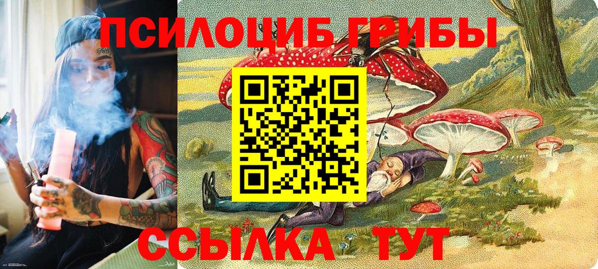 Галлюциногенные грибы мицелий Псков